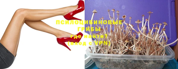 тгк Арсеньев