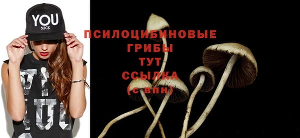 тгк Арсеньев