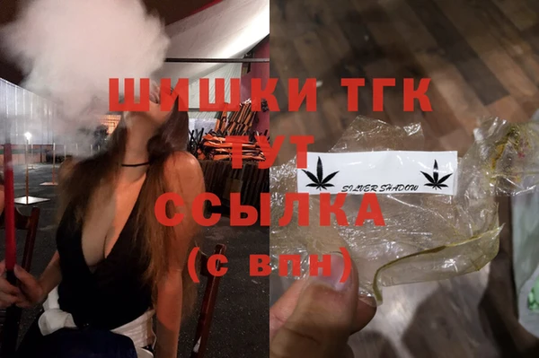 тгк Арсеньев