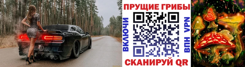Галлюциногенные грибы Psilocybine cubensis  мориарти телеграм  Волгореченск  ОМГ ОМГ ссылки 