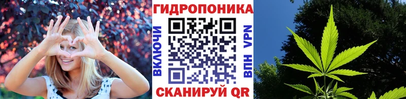 Конопля сатива  хочу   Волгореченск 